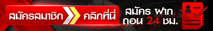 xspin88